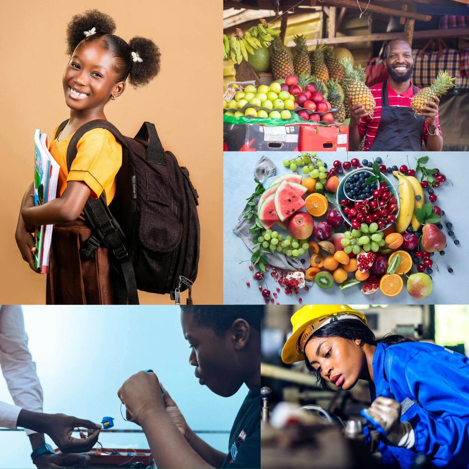 Infrastructures Tyrannus